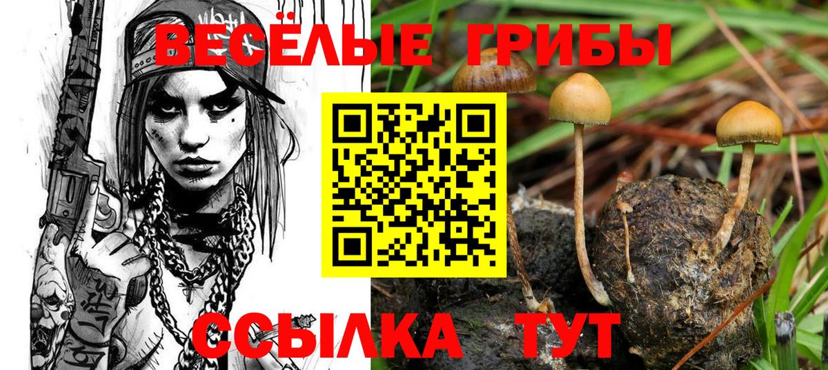 Псилоцибиновые грибы MAGIC MUSHROOMS  где можно купить наркотик  Тавда  Вход с VPN 